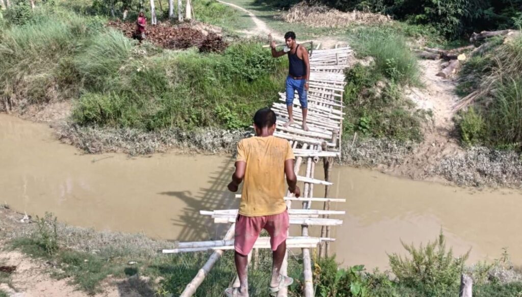 image_editor_output_image1397795059-17698557099802986310549403714704