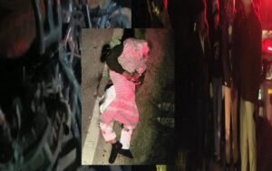 image_editor_output_image516867193-17683029495535435248819664490505