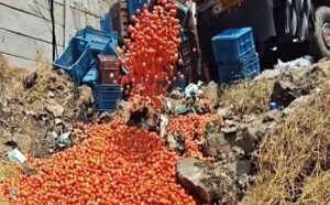 image_editor_output_image-711790992-17744528644899135863767508124242