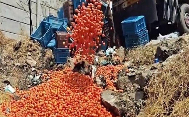 image_editor_output_image-711790992-17744528644899135863767508124242