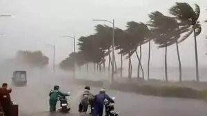 images (1)586185024641592395.