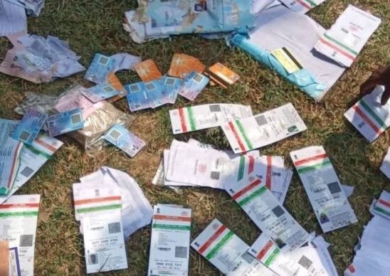 image_editor_output_image-754002268-17761904169465728052084125044740