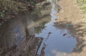 image_editor_output_image1149499883-17753179823464728487925906184219