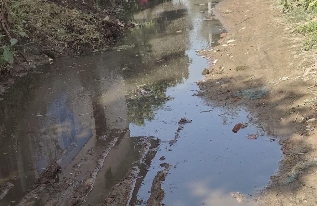 image_editor_output_image1149499883-17753179823464728487925906184219