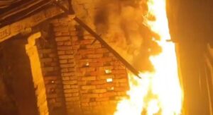 image_editor_output_image1345645643-17765082234391737188716402460951