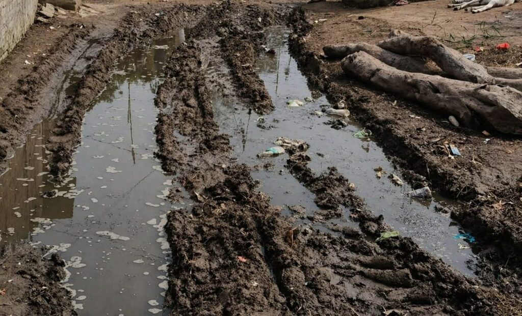 image_editor_output_image180986838-17767700364823469672726432438703