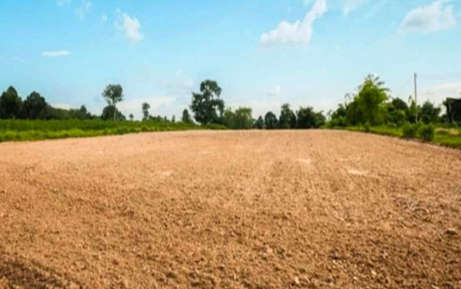 image_editor_output_image712674412-17763553708291373613007498872383