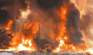 image_editor_output_image967514710-17762764197247838740992445144128